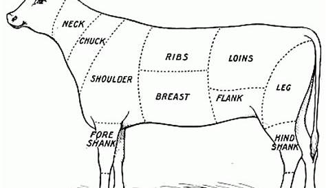 different cuts of veal