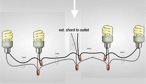 simple wiring diagram for multiple lights. - 420 Magazine Photo Gallery