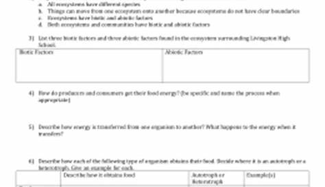 Energy through an Ecosystem Worksheet Answer Key