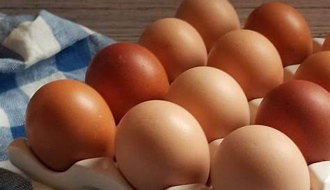 how should fresh eggs be stored