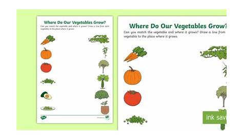 how does your garden grow worksheets