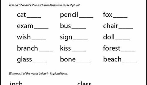 pluralization of nouns worksheets