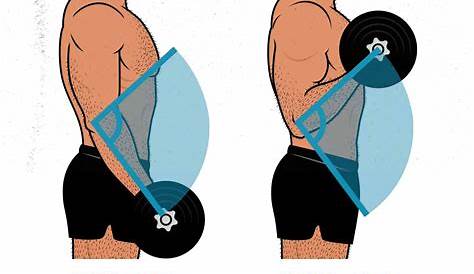 How Range of Motion Affects Muscle Growth