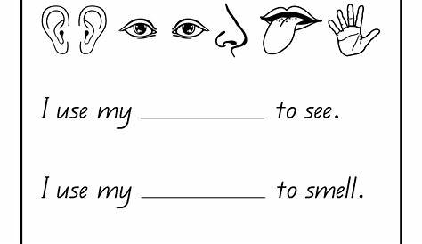 printable five senses worksheets