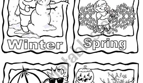 The 4 seasons worksheet | Seasons worksheets, Seasons kindergarten