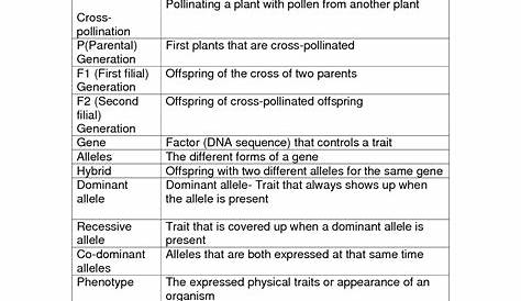 introduction to genetics worksheets answer key