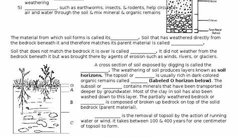 soil horizons worksheets