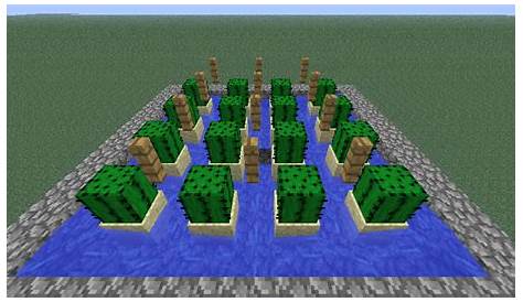 Automatic Cactus Farm - Yohandi's Minecraft Site