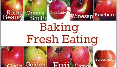 The Definitive Guide to Apples and their Uses Recipe | Pocket Change