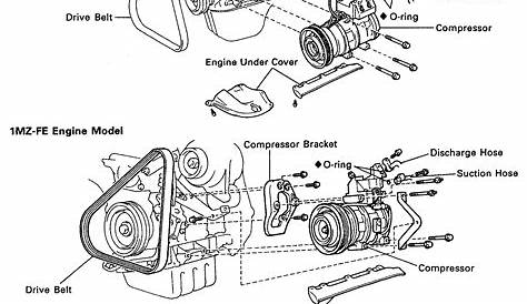 1993 Toyota Corolla Alternator Belt - Latest Cars