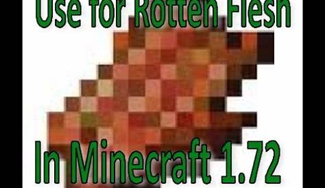 uses for rotten flesh in minecraft