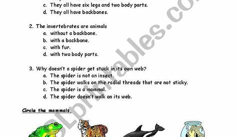 vertebrates and invertebrates worksheets