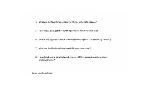 KS3 Photosynthesis Worksheet | Teaching Resources