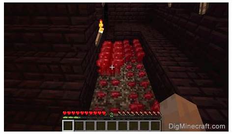 How to make a Nether Wart in Minecraft