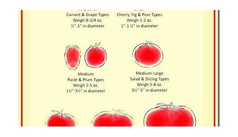 flying tomato size chart