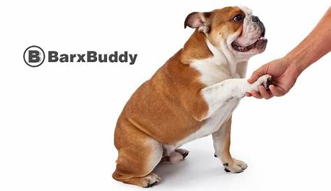 barx buddy user manual