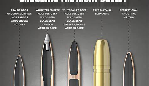 Bullet design chart | Bullet designs, How to memorize things, Ammo