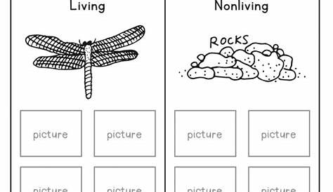 science 1st grade worksheets