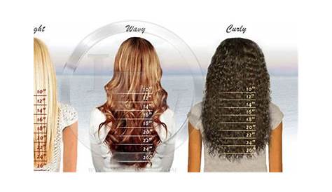 All kind of real hair extensions & wigs | Hair length chart, Hair