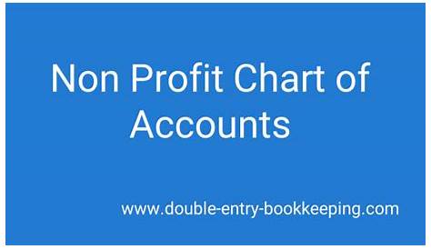 Non Profit Chart of Accounts | Double Entry Bookkeeping