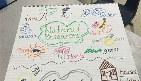 natural resources 1st grade