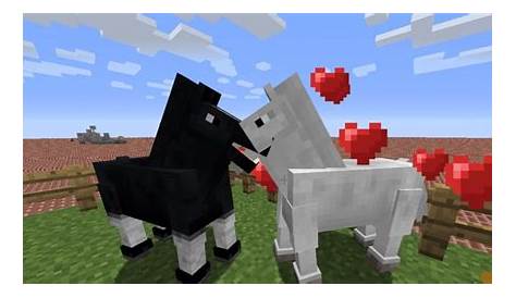 what does horses eat on minecraft