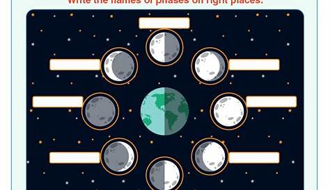 moon phases worksheet 3rd grade