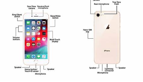 Diagram Of Iphone 7 / iPhone 7 Full Schematic Diagram And PCB Layout