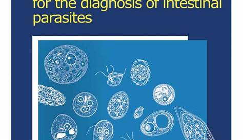 human parasite identification chart pdf