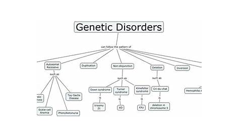 human genetic disorder worksheet