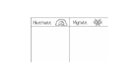 Printable Hibernation Worksheet For Preschool - Deeper