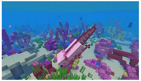 what do you feed axolotls in minecraft