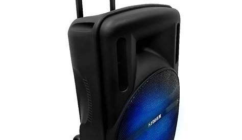Fisher 12-Inch Bluetooth Wireless Speaker System, Karaoke, Portable