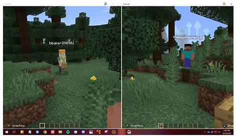 TUTORIAL: How to play with split-screen on Minecraft: Windows 10