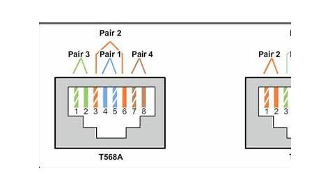 Cat5 Jack Wiring Diagram / Diagram 3 5 Jack Diagram Full Version Hd