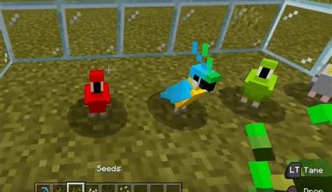 Can You Tame A Parrot In Minecraft