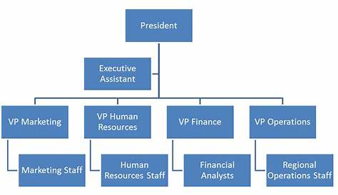 vertical organizational structure chart