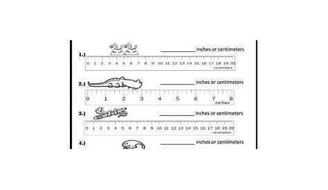 Measuring Length in Inches and Centimeters Worksheets (Distance Learning)