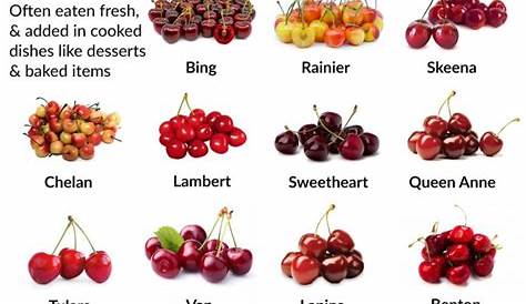 17 Different Types of Cherries to Cook with or Eat Fresh