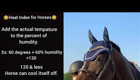 heat index chart for horses