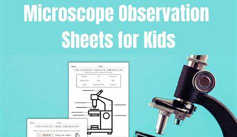 Microscope Observation Recording Sheet Printable Worksheet | Etsy in