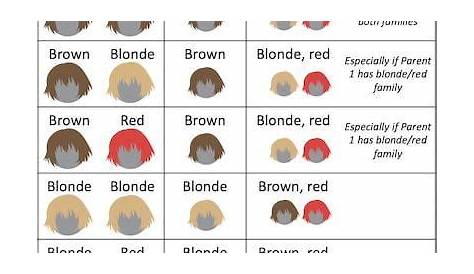 hair color genetics chart
