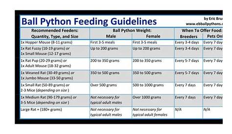 feeding chart for ball pythons