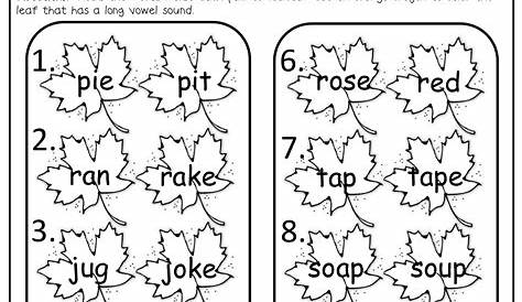 Long Vowels Worksheets For Grade 1 – Thekidsworksheet
