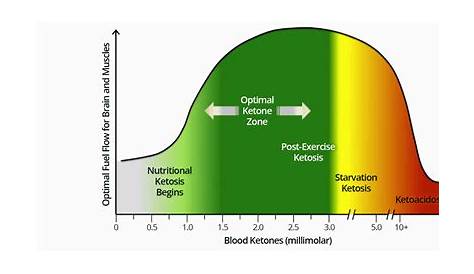 ketone levels chart for weight loss
