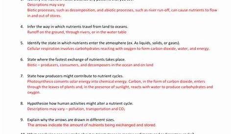the carbon cycle worksheet answer key