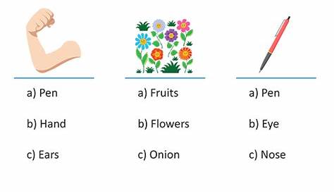 identify the nouns worksheets
