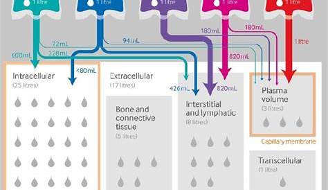 [Infographic] Theoretical Distribution of intravenous fluids on