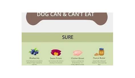 human food for dogs chart