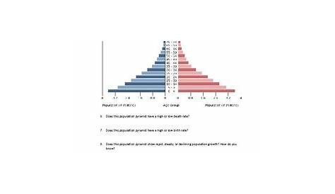 Population Pyramid Practice Worksheet by Historically Happy | TpT